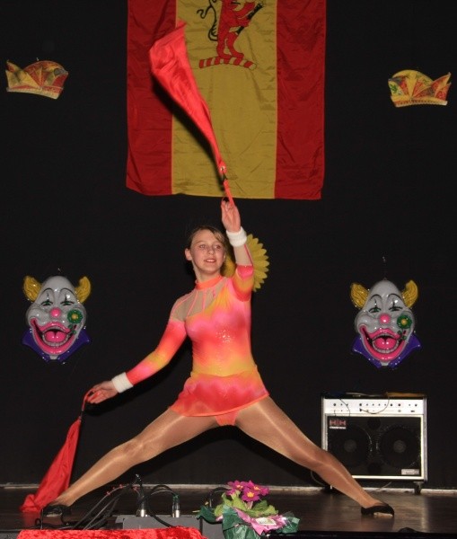Ball der Narren 2009  046.jpg